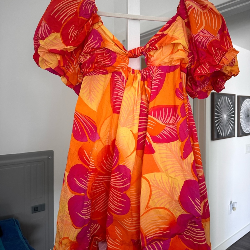 Farm Rio Dress - Picture 3 of 3
